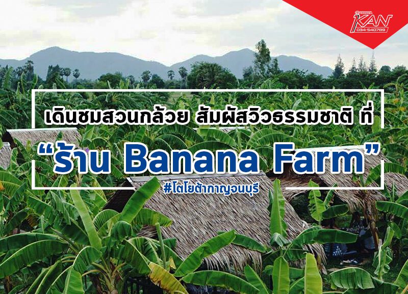 ปกกล้วย
