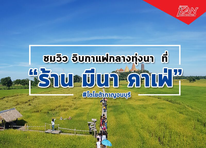 -800x577 "มีนาคาเฟ่" ชมวิว จิบกาแฟกลางทุ่งนา
