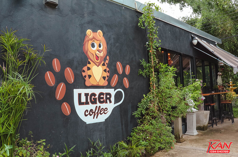 08 Liger coffee คาเฟ่กลางป่ากับบาริสต้าอารมณ์ดี
