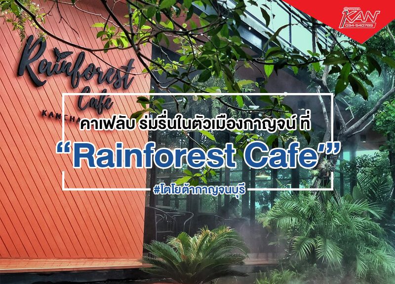 rain-forest-800x577 Rainforest Café คาเฟ่เปิดใหม่ สไตล์ป่า